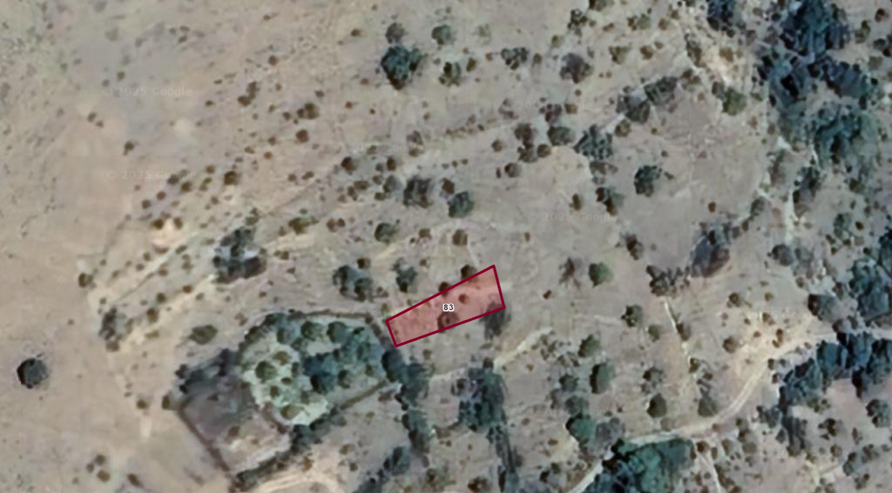 Fotoğraf